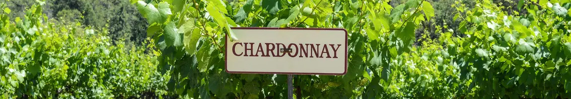 Vins de Chardonnay