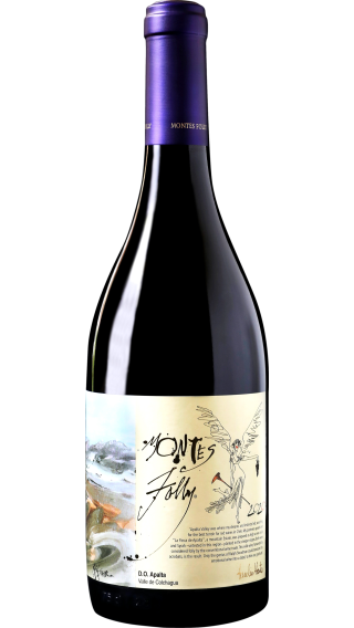Bottle of Montes Folly Syrah 2020 wine 750 ml