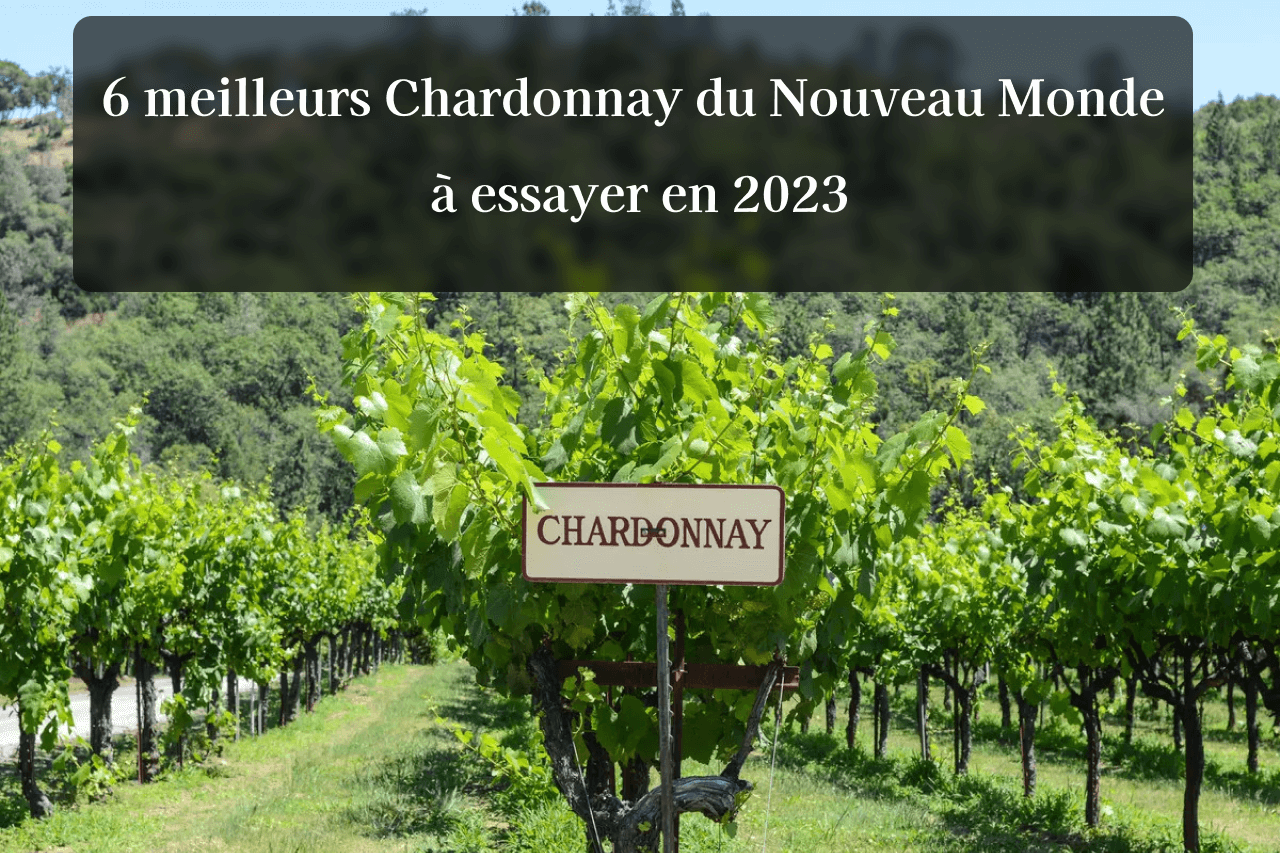 6 délicieux vins Chardonnay du Nouveau Monde en 2024