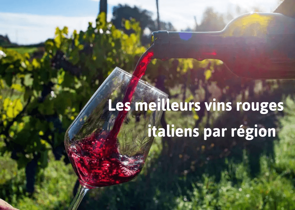 Les meilleurs vins rouges italiens par région en