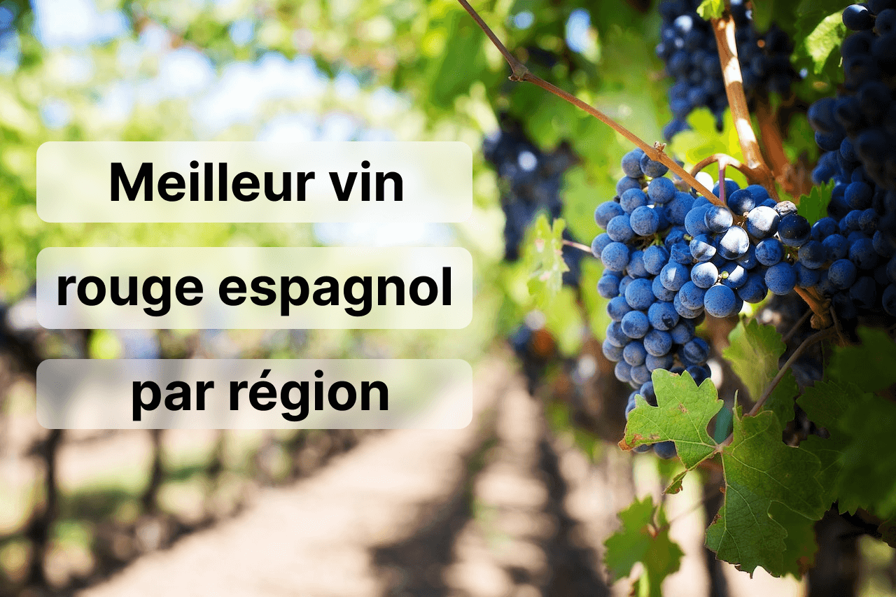 Guide Des Meilleurs Vins Rouges Espagnols Par R Gion